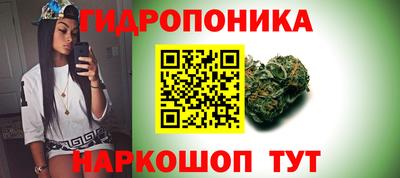 кокс Аргун