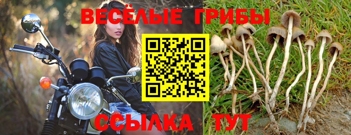 Псилоцибиновые грибы Cubensis  Вход с VPN  Астрахань 