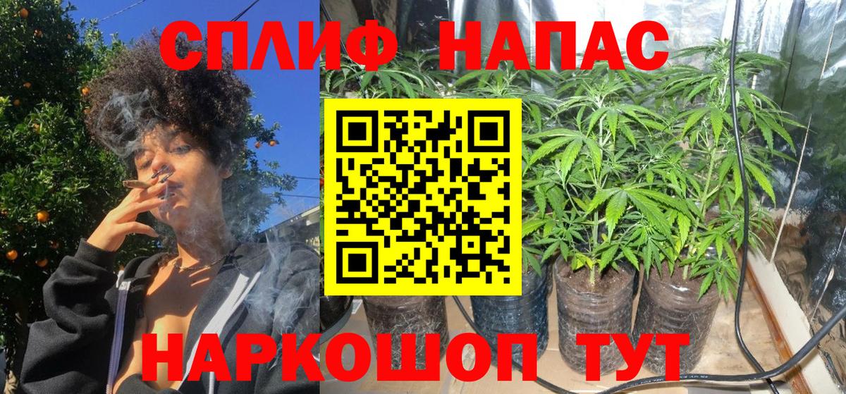 МАРИХУАНА SATIVA & INDICA Астрахань